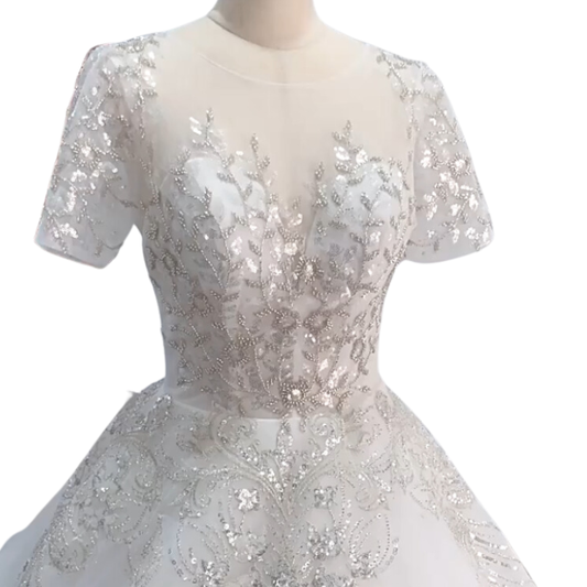 Luxury lace embroidered short sleeve with puffy skirt sparking ball gown EQB959